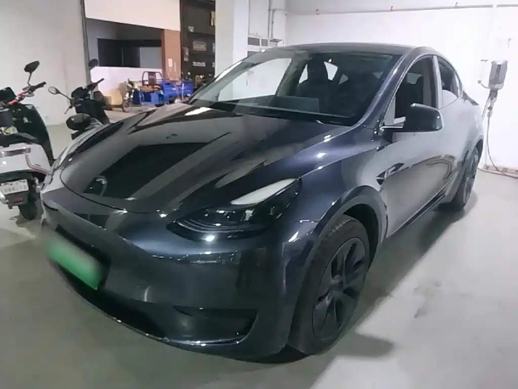 Tesla Model Y — миниатюра 2