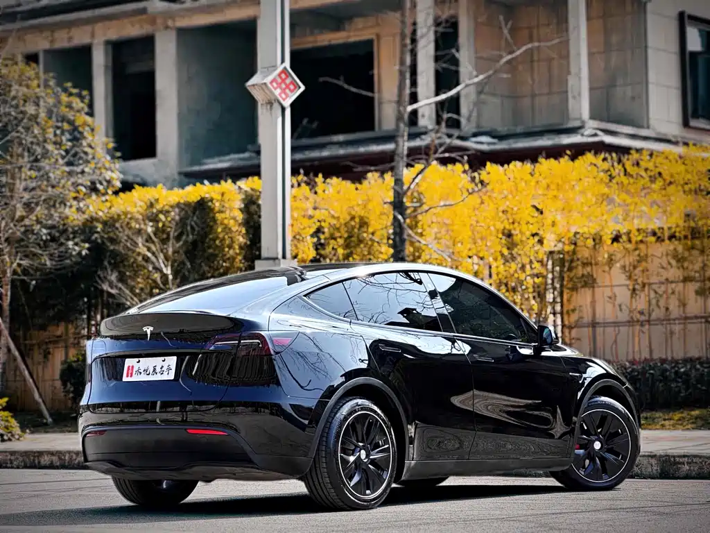 Tesla Model Y — миниатюра 13