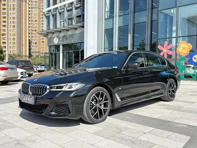 BMW 5 SERIES