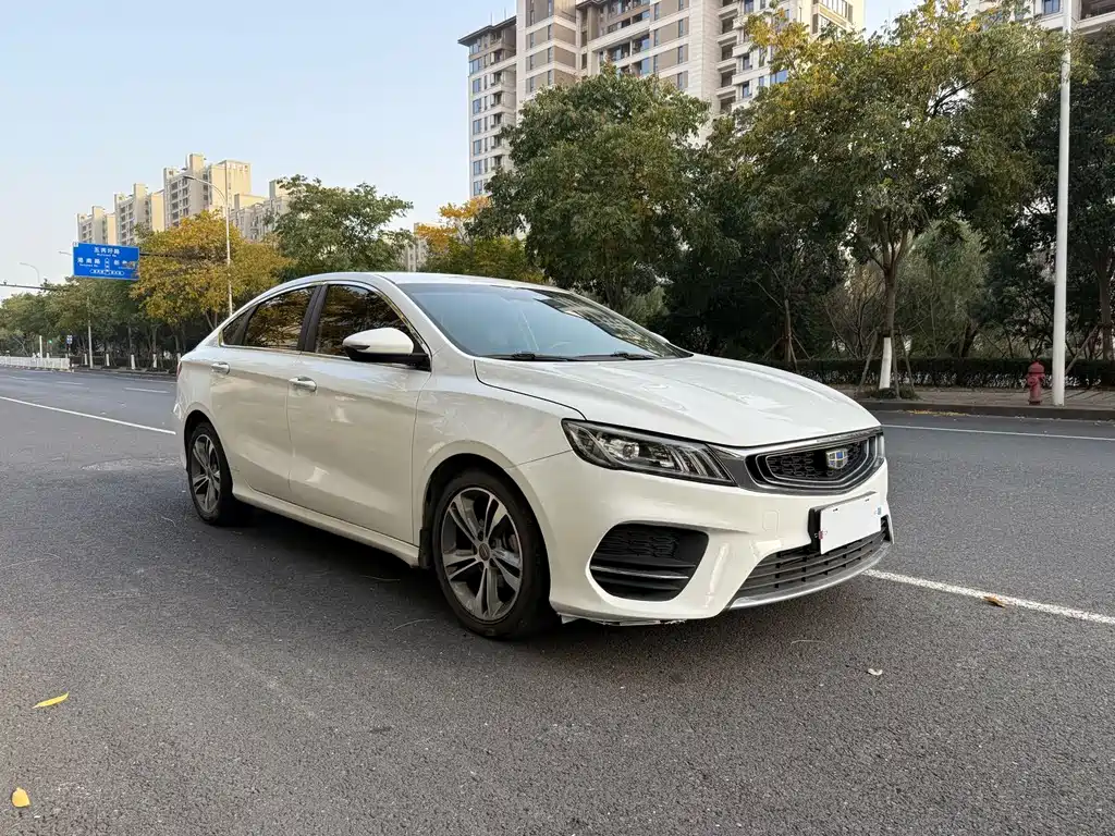 GEELY AUTOMOBILE BINRUI