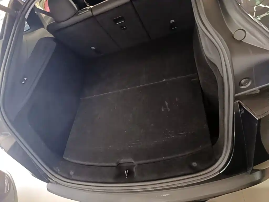 Tesla Model Y — миниатюра 19
