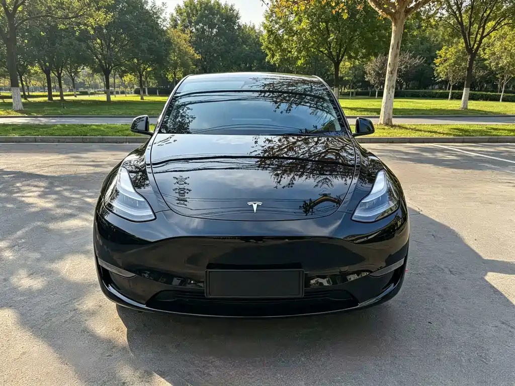 Tesla Model Y — миниатюра 2