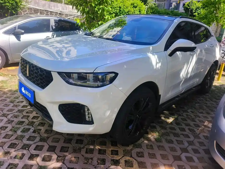 Wey Wey VV5