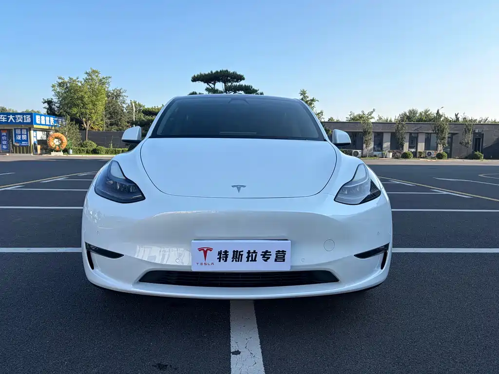 Tesla Model Y — миниатюра 2