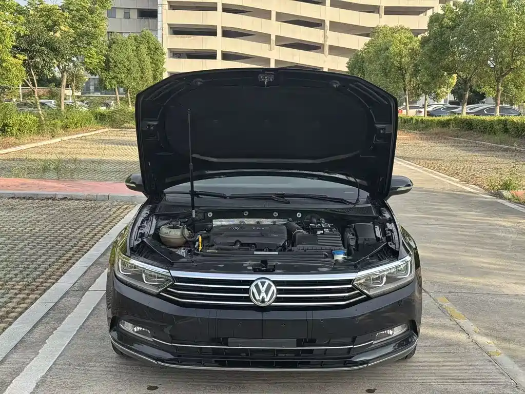 Volkswagen Magotan 2018 330TSI DSG Luxury