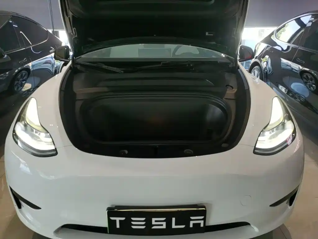 Tesla Model Y — миниатюра 20