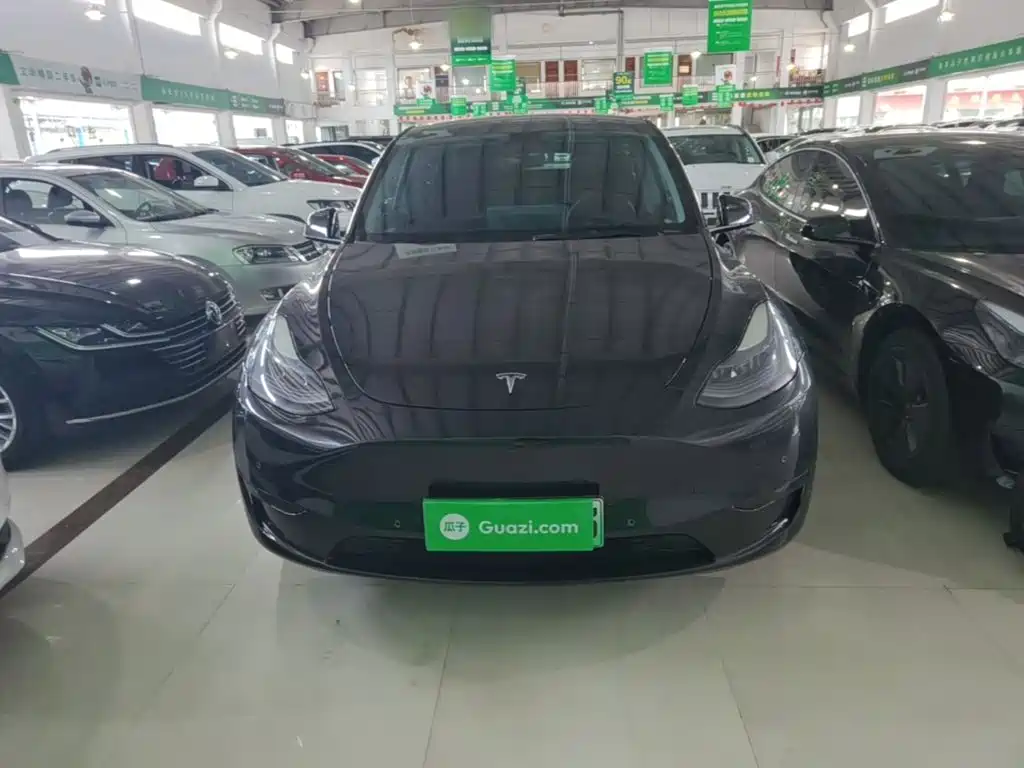 Tesla Model Y — миниатюра 3