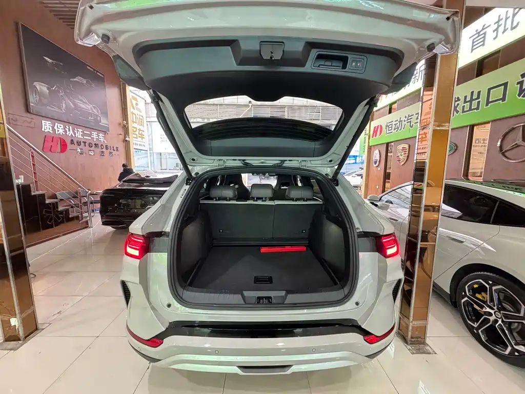 BYD SONGJIANG NEW ENERGY