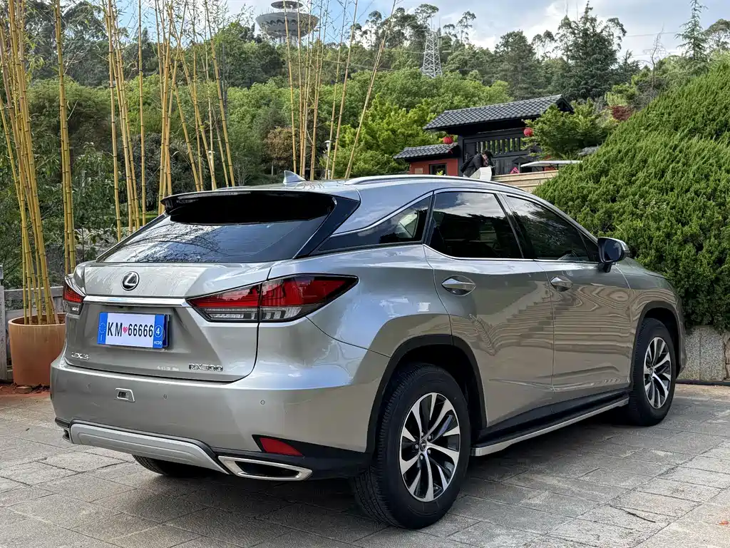 Lexus RX 2020 300 Elite