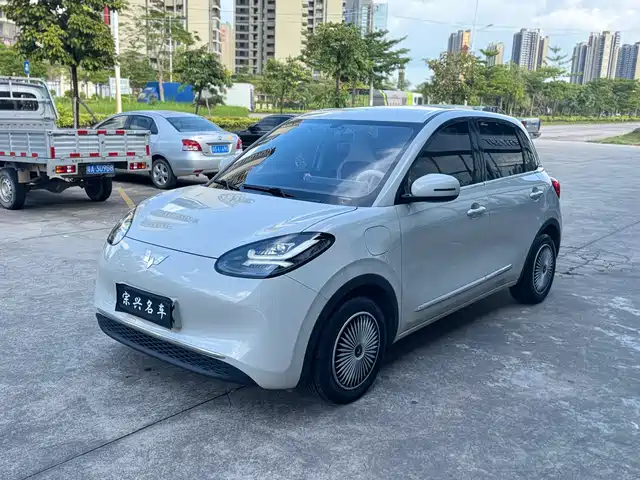 WULING AUTOMOBILE WULING BINGGUO 2024