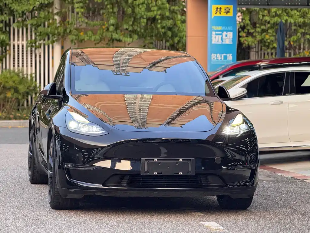 Tesla Model Y — миниатюра 2