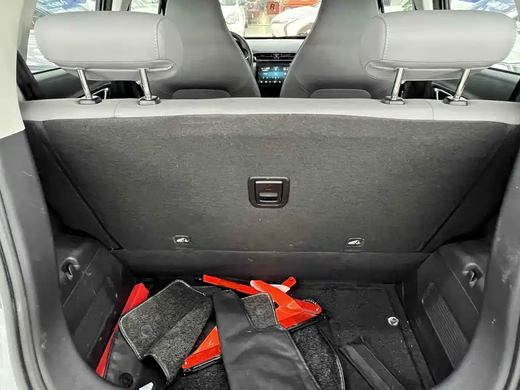 Leapmotor T03 2024 310