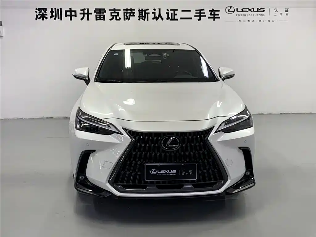 LEXUS NX NEW ENERGY