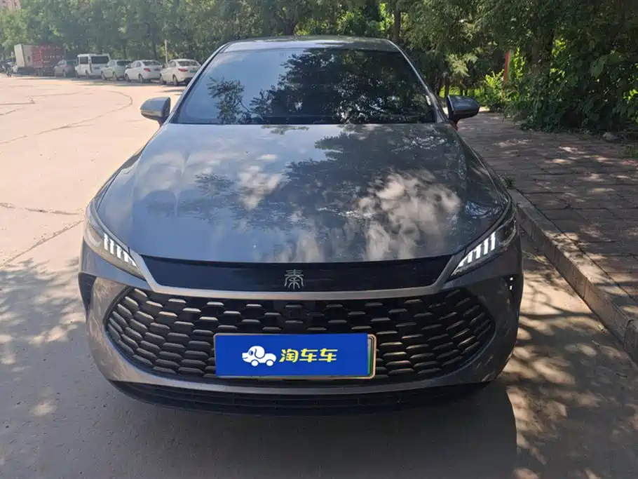 BYD Qin Plus PLUS 2025 DM-i Smart Drive 55KM Lead