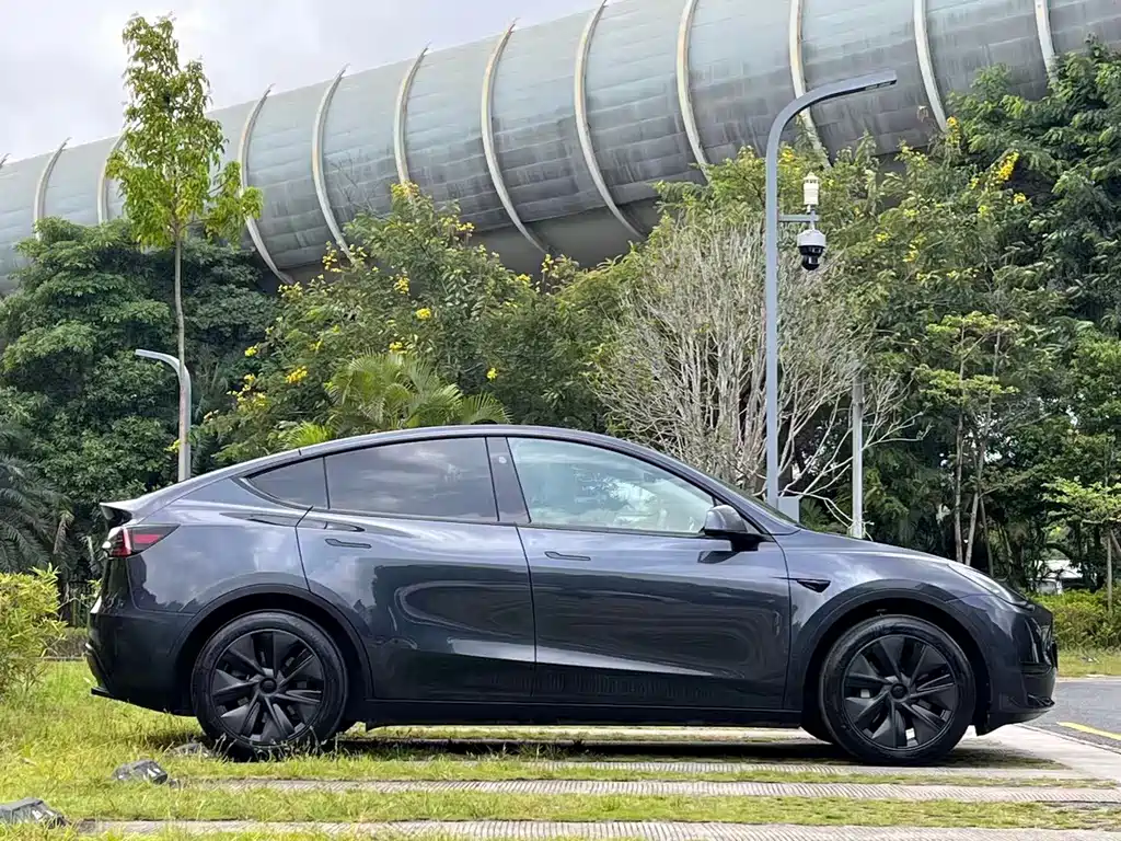 Tesla Model Y — миниатюра 4