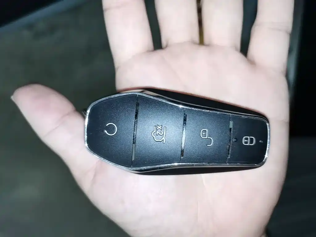 BYD Tang 2025 DM-i 115KM Luxury