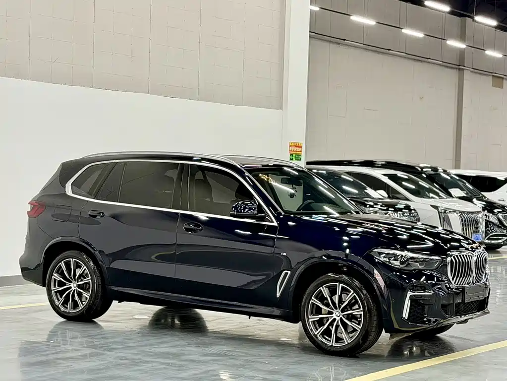 BMW X5 — миниатюра 3