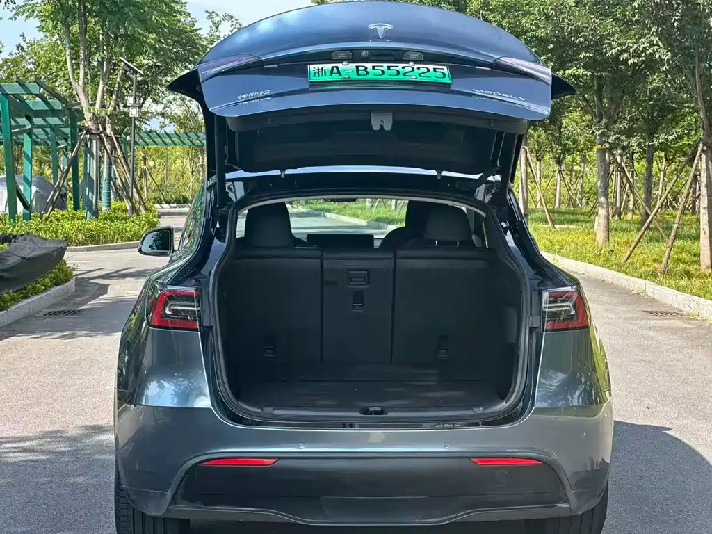 Tesla Model Y — миниатюра 8