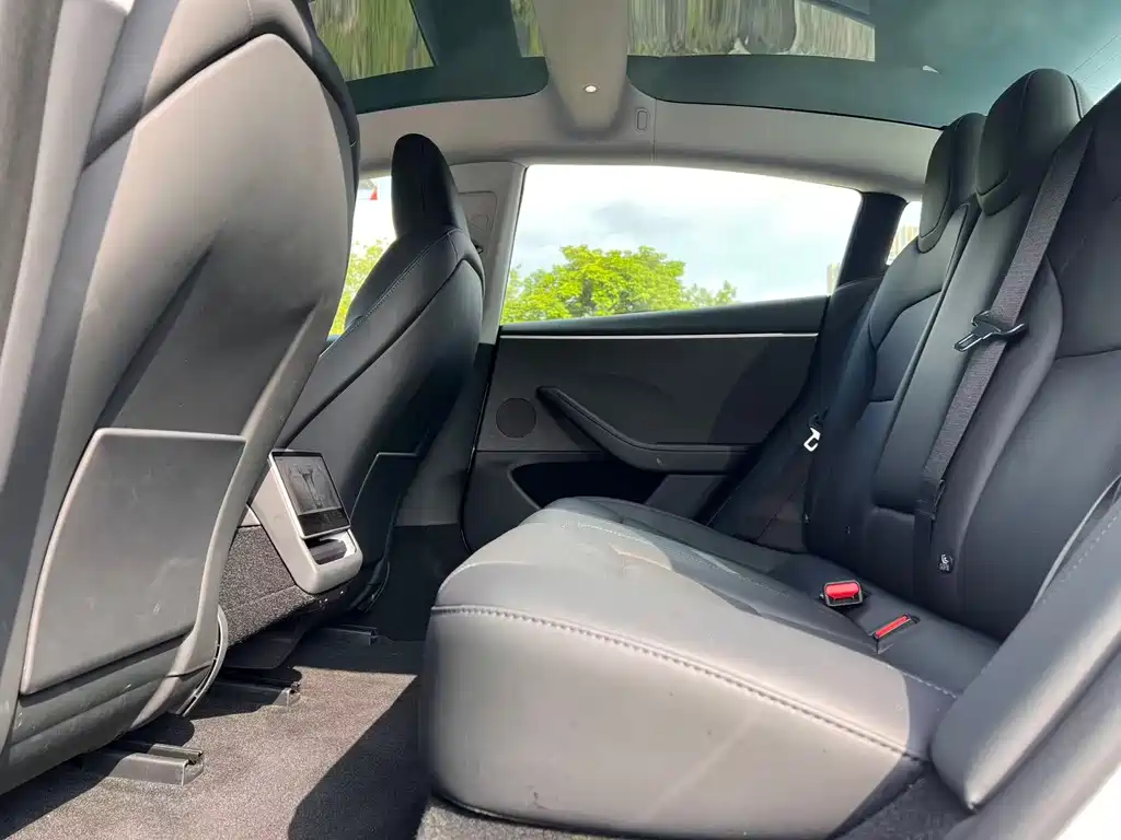 Tesla Model 3 — миниатюра 14