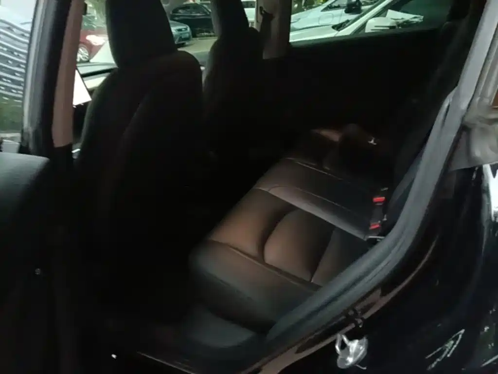 Tesla Model 3 — миниатюра 14