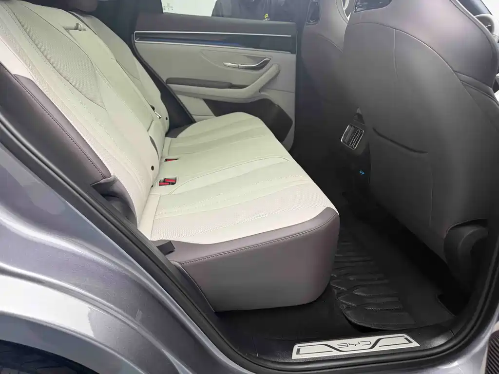 BYD SONGJIANG NEW ENERGY