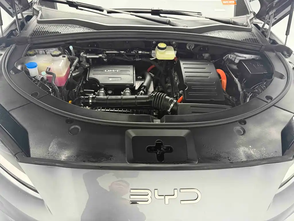 BYD SONGJIANG NEW ENERGY