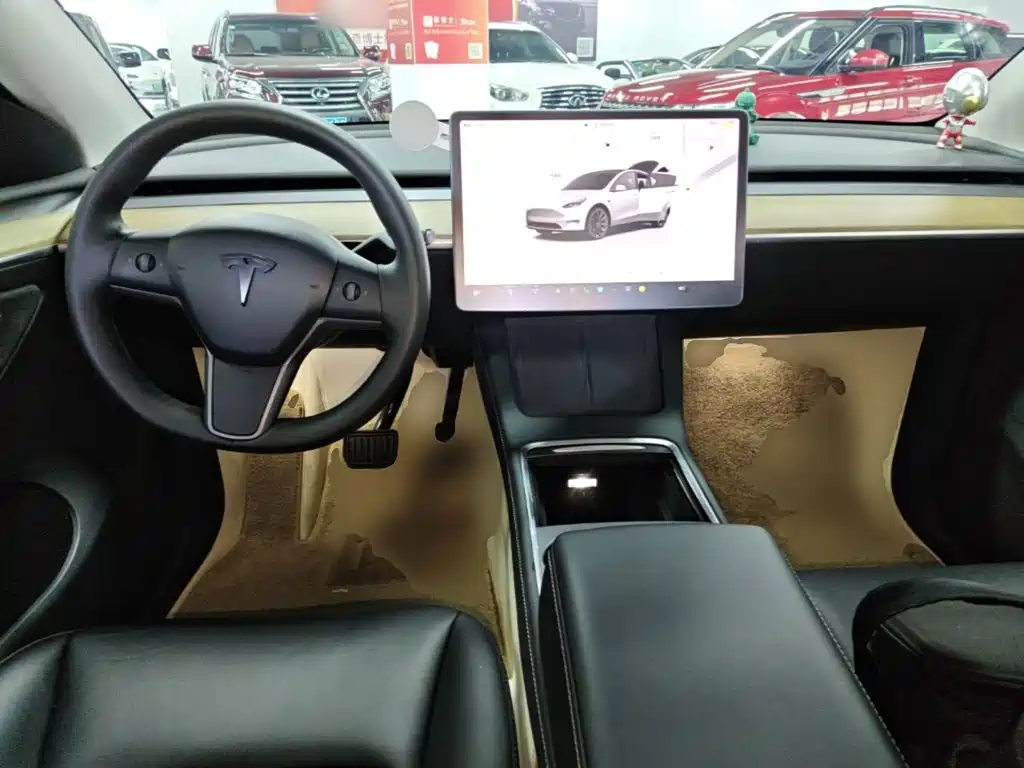Tesla Model Y — миниатюра 10
