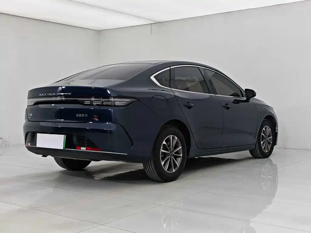 BYD Destroyer 05 2024 DM-i 55KM Luxury