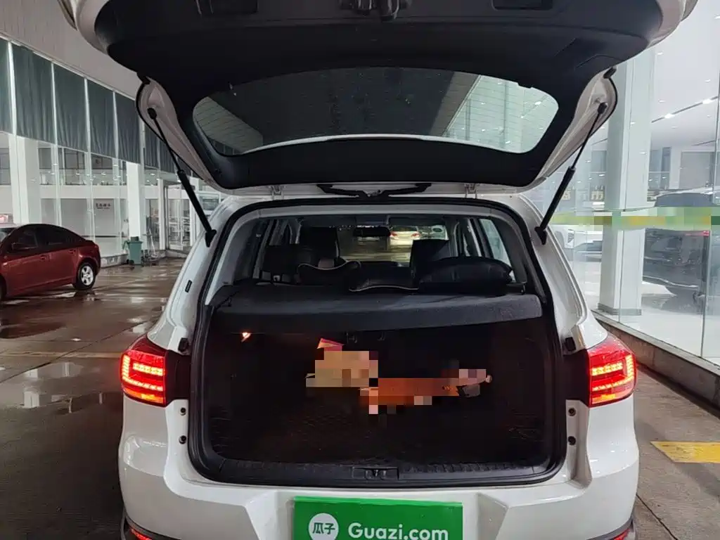 Volkswagen Tiguan — миниатюра 19