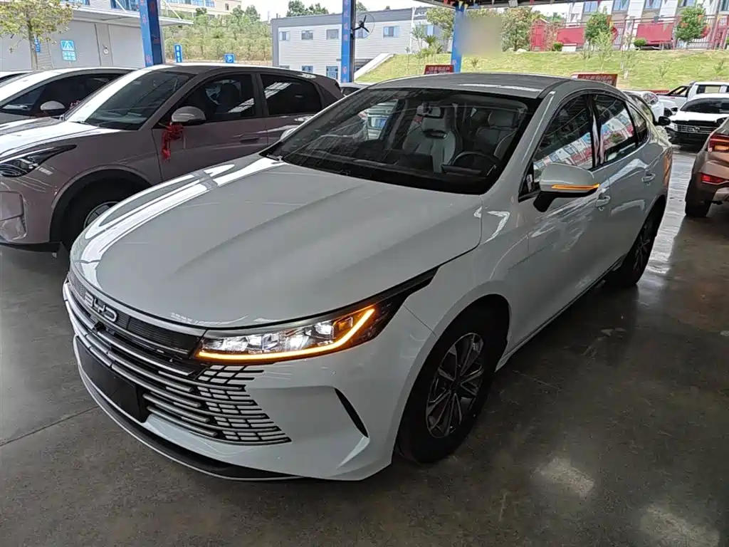 BYD Destroyer 05 2024