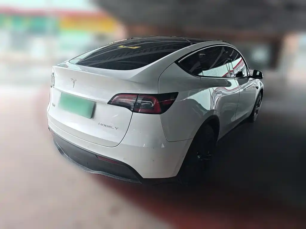 Tesla Model Y — миниатюра 6