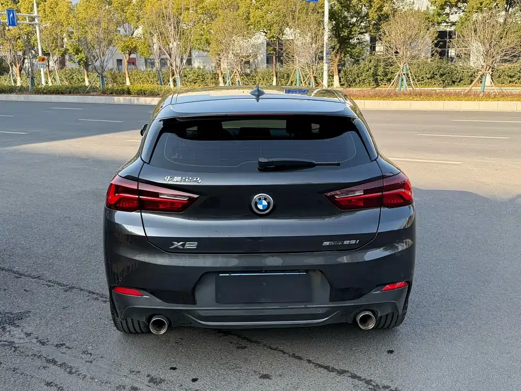 BMW X2