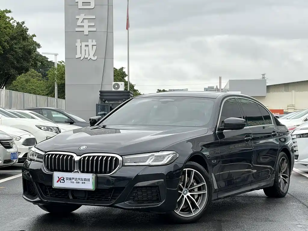 BMW 5 Series New Energy
