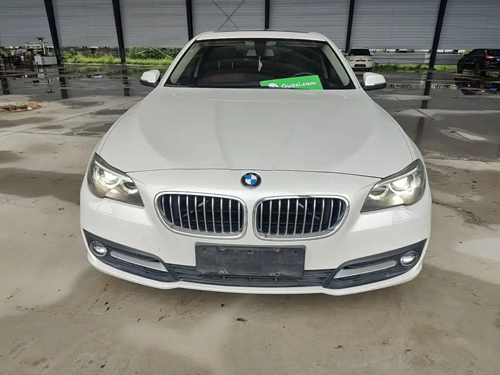 BMW 5 Series 5 2014 525Li Lead