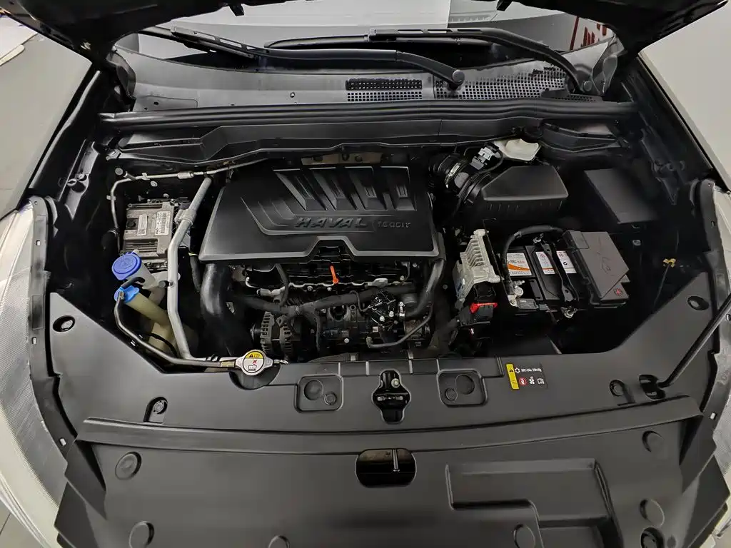 Haval H6 Coupe 2019 1.5T AT Luxury Smart Connect V