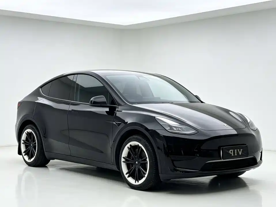 Tesla Model Y — миниатюра 3