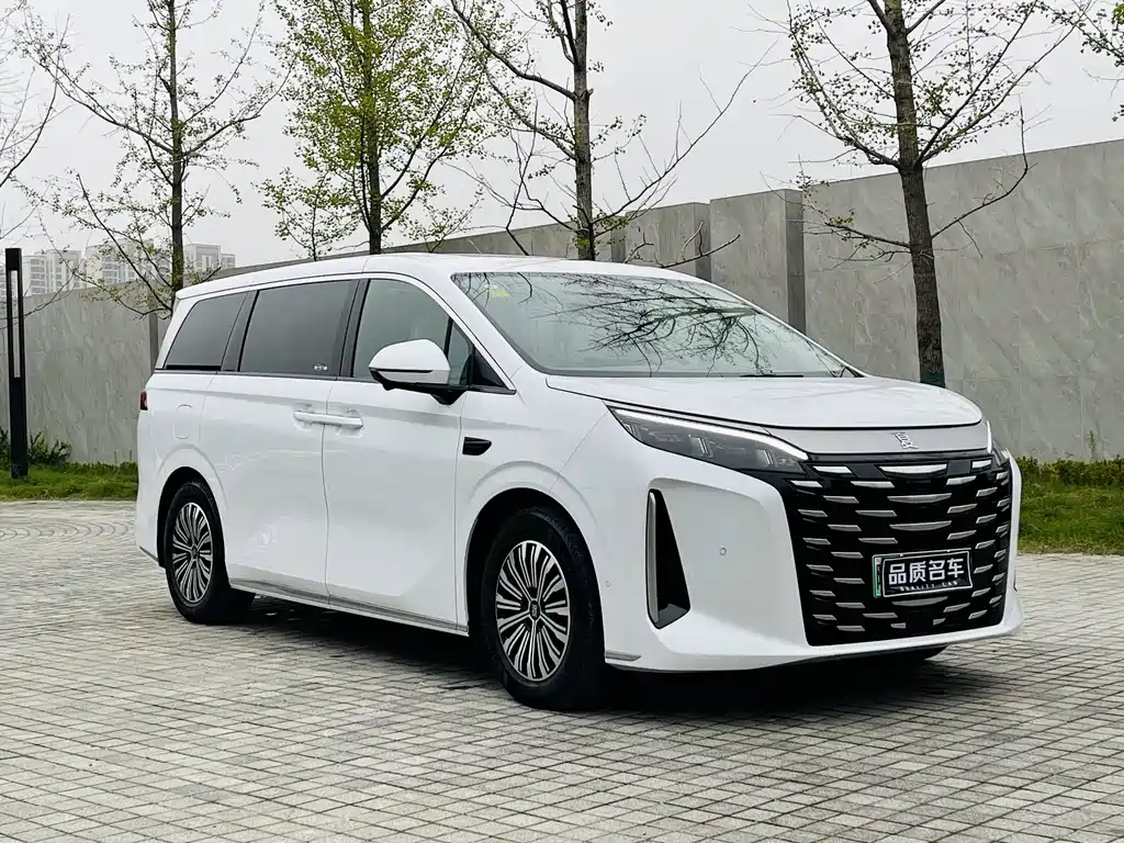BYD SUMMER