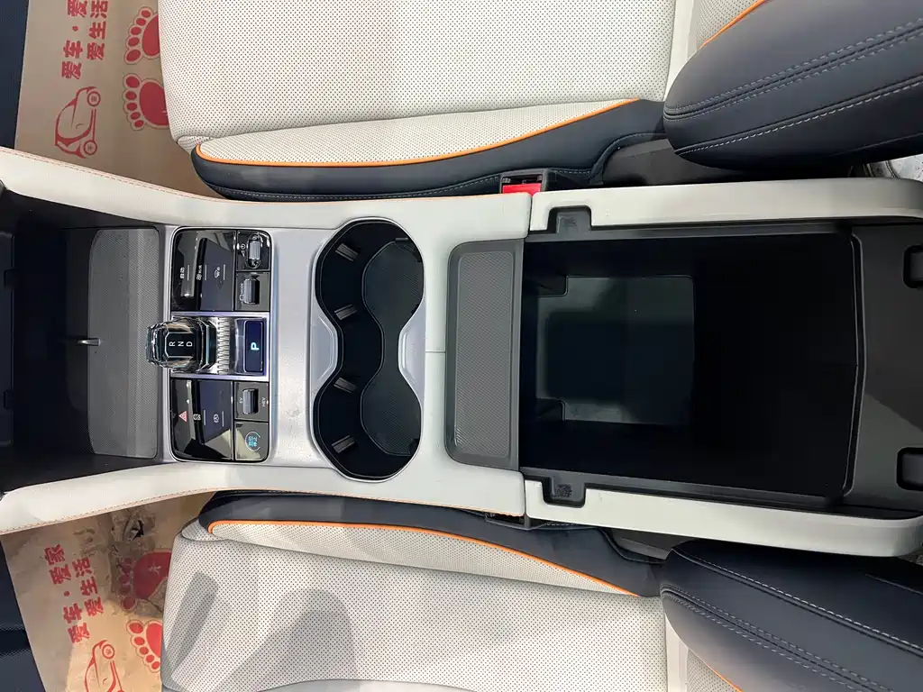 BYD SONGJIANG NEW ENERGY