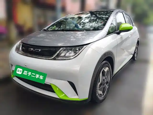 2022 BYD Dolphin