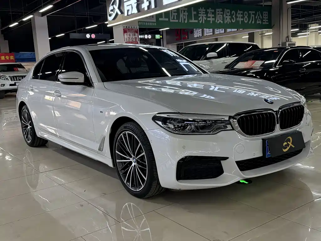 BMW 5 Series 5 2020 530Li xDrive M Sport