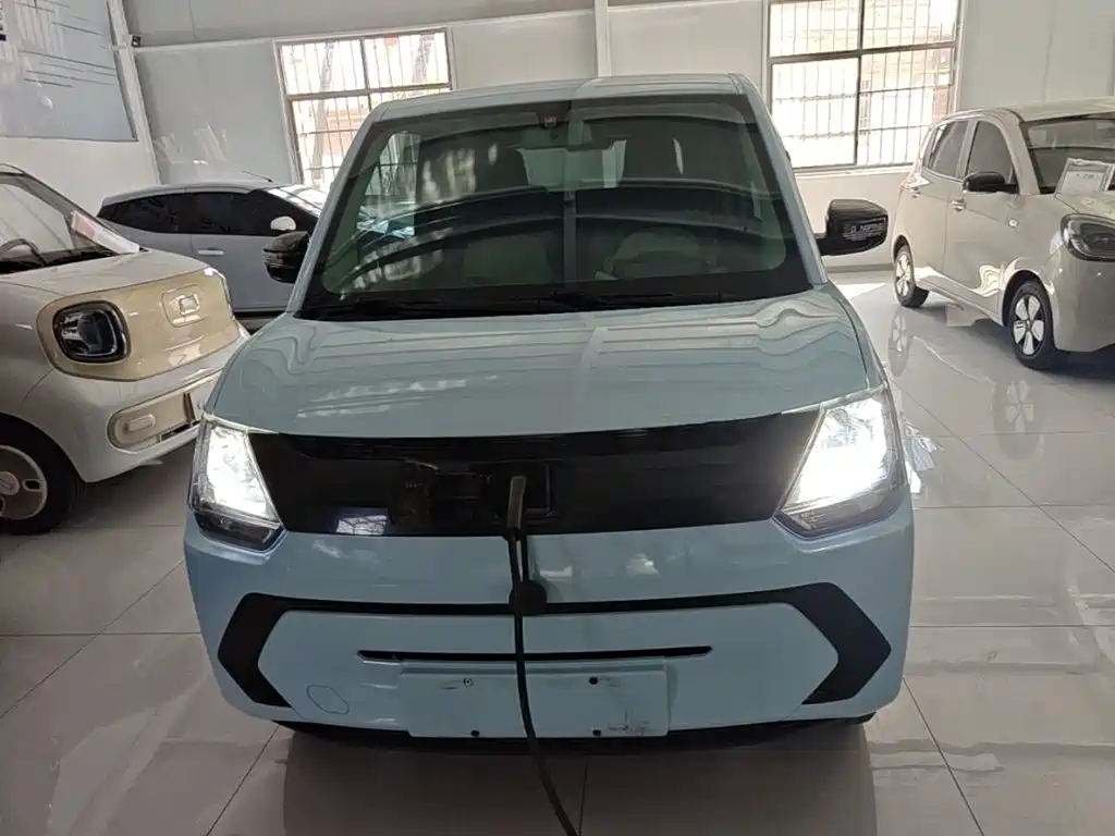 Fengguang Fengguang MINIEV — миниатюра 3
