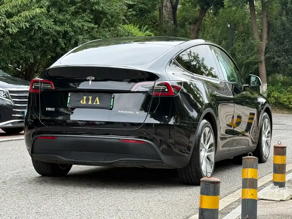 Tesla Model Y — миниатюра 7