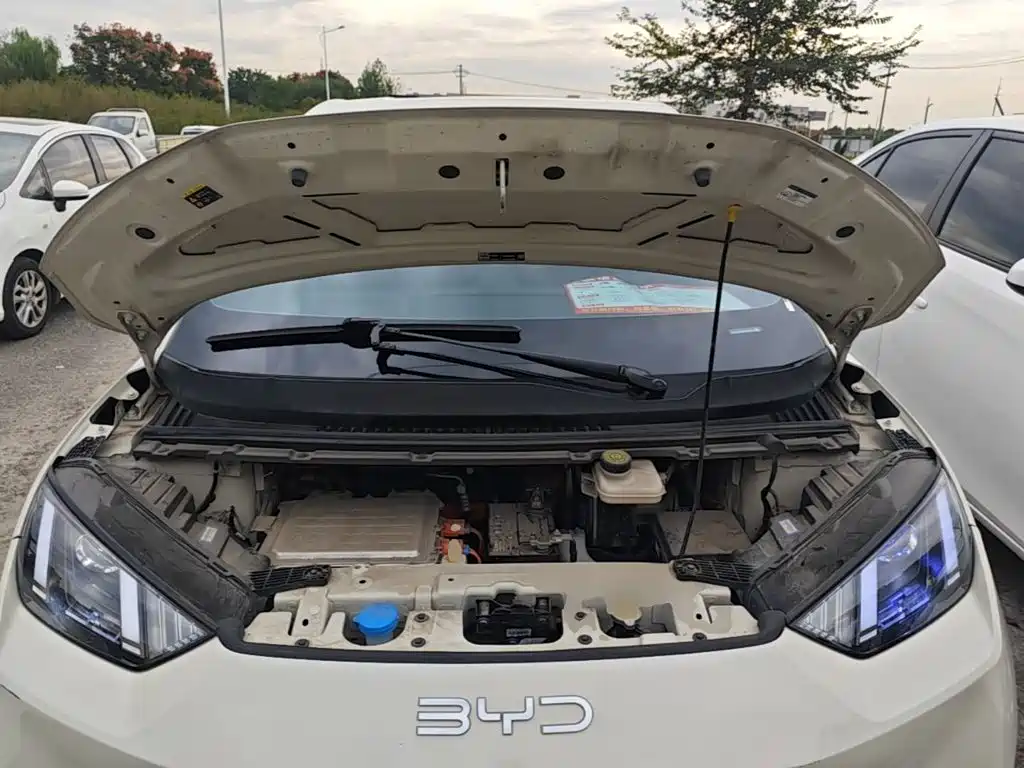 BYD Seagull — миниатюра 20