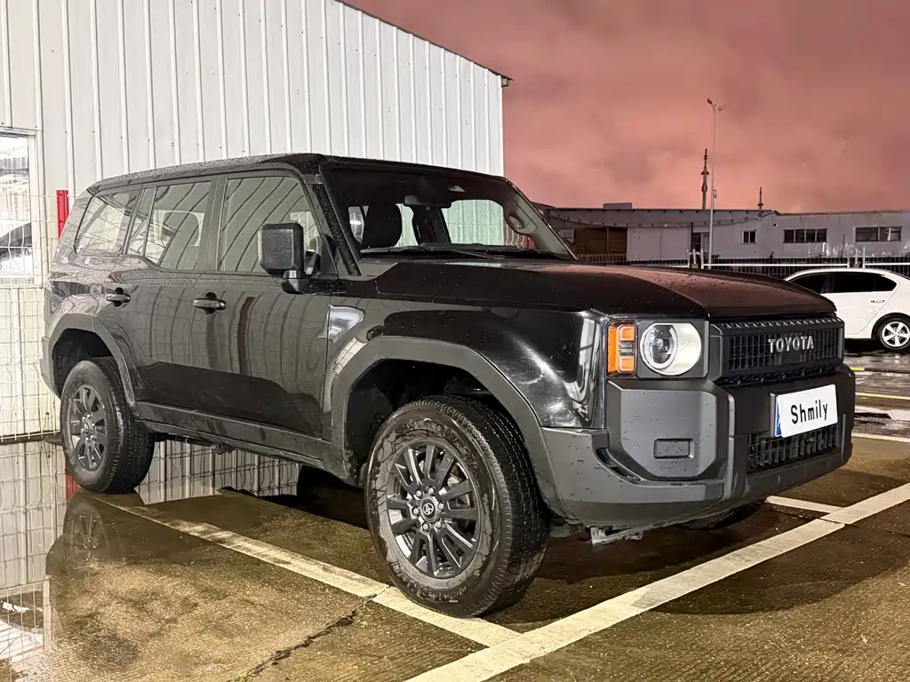 Toyota Prado — миниатюра 3