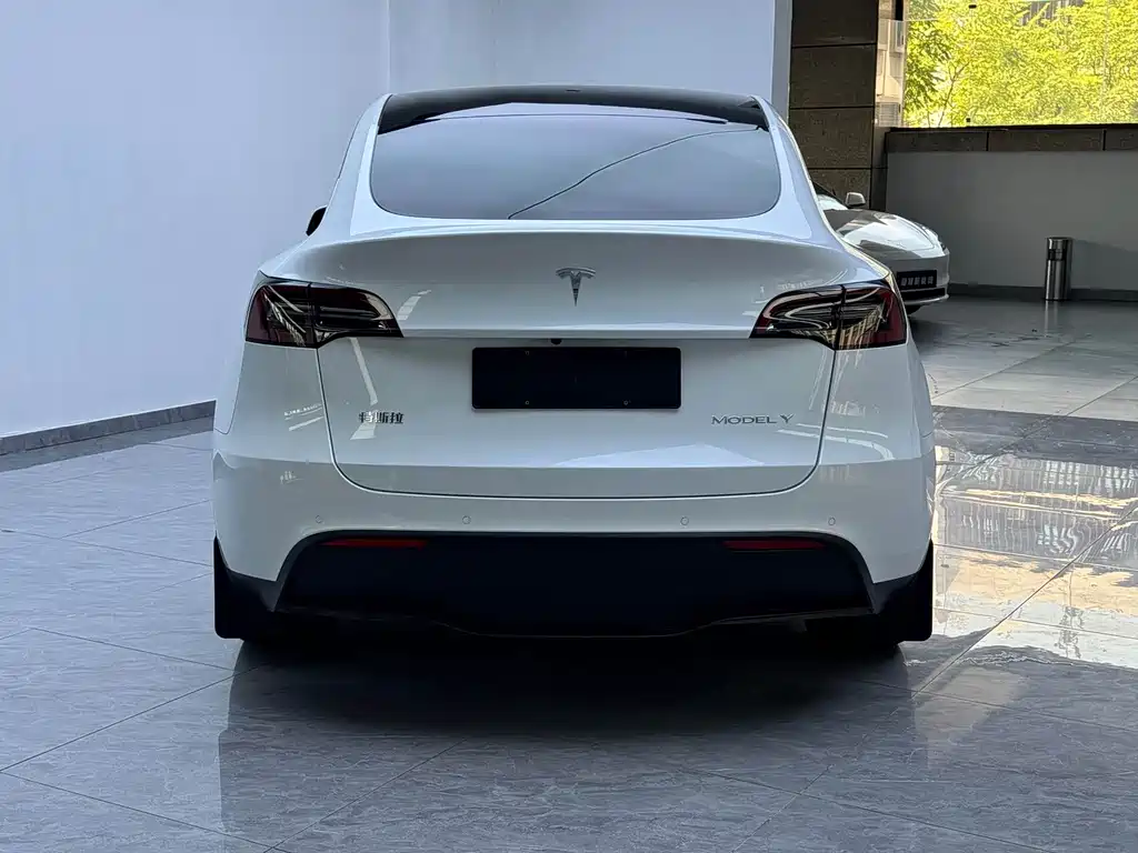 Tesla Model Y — миниатюра 14