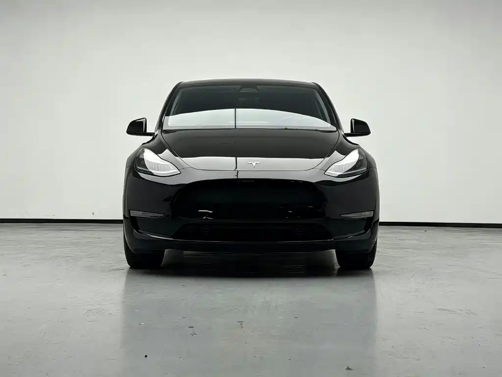 Tesla Model Y — миниатюра 6