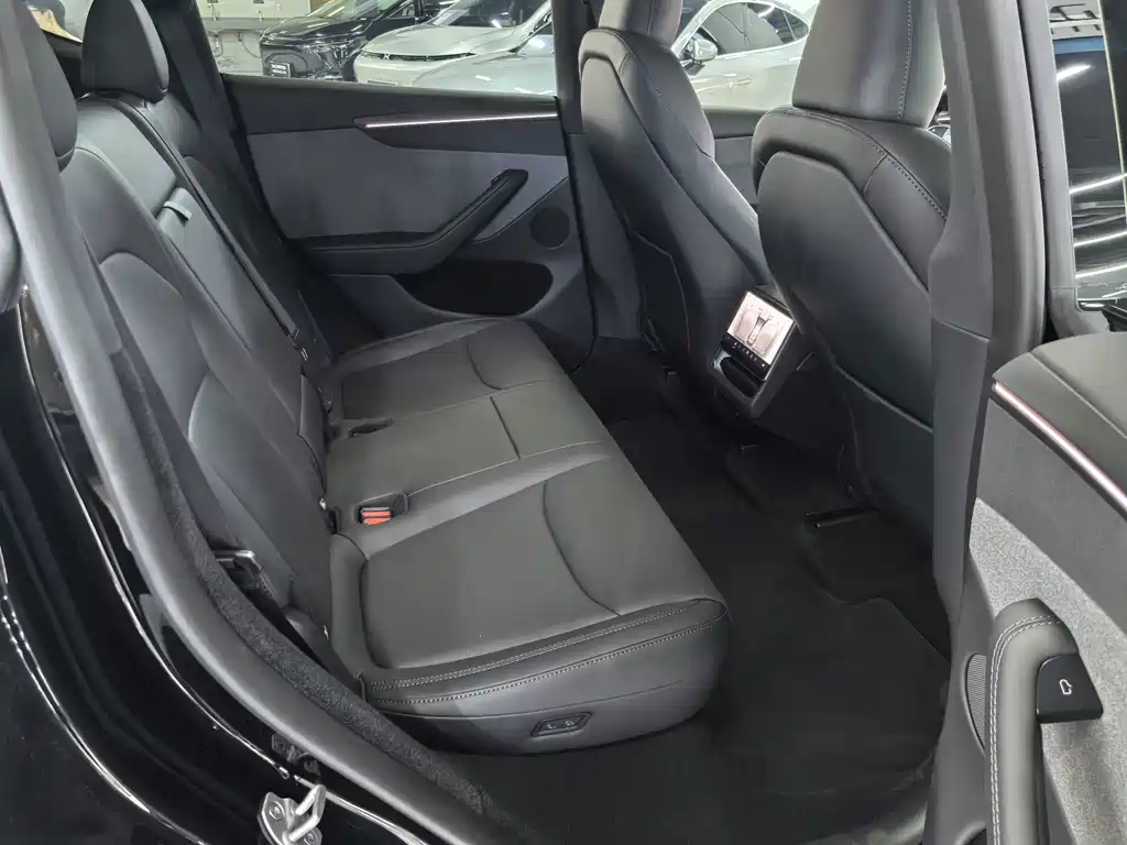 Tesla Model Y — миниатюра 10