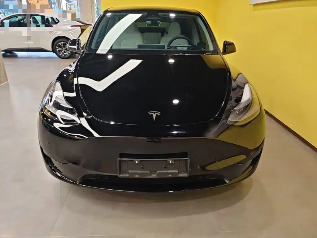 Tesla Model Y — миниатюра 3