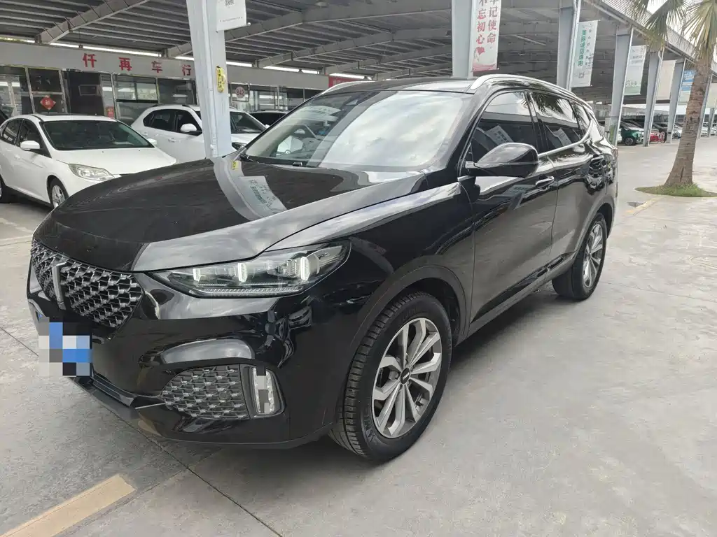 Wey Wey VV6 2019