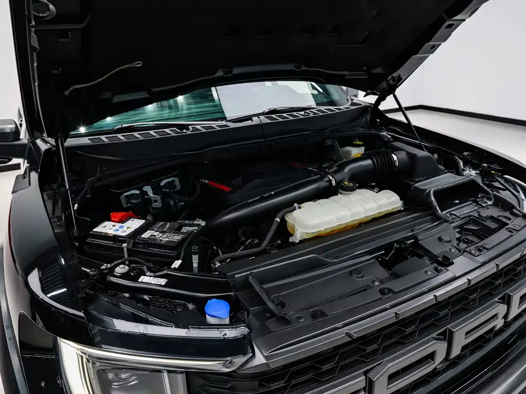 Ford F-150 Raptor — миниатюра 21
